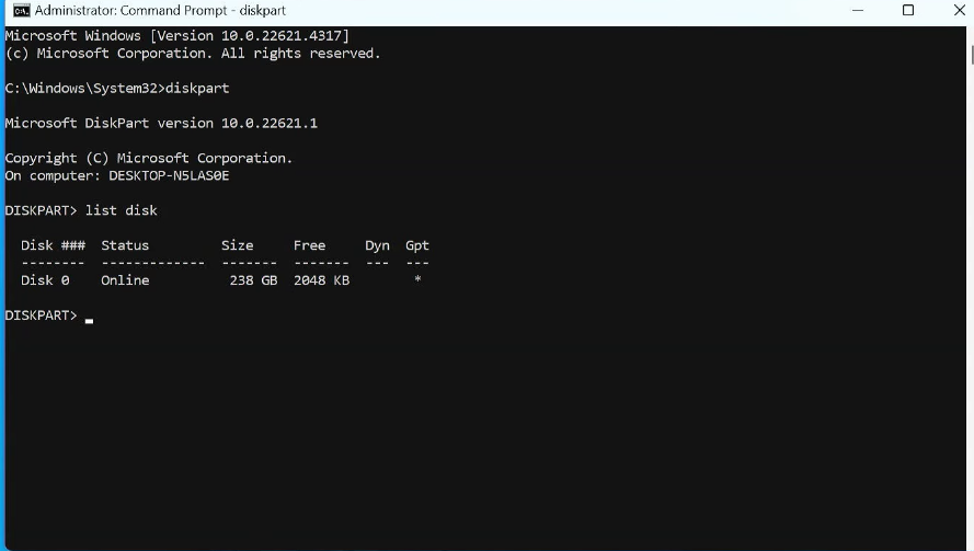 Type list disk in diskpart